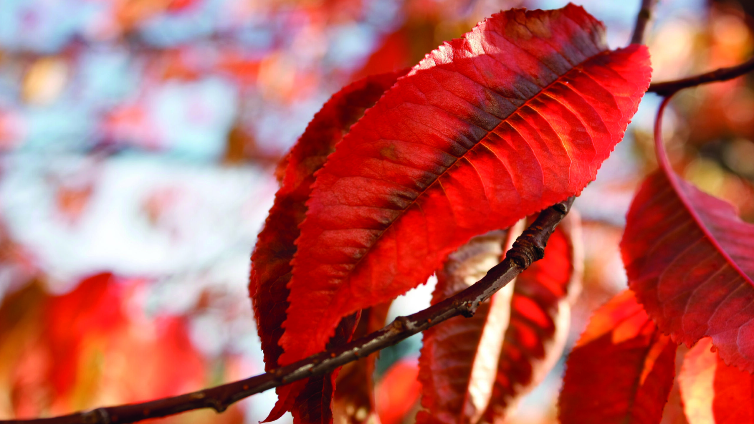 novedad destacado web 800-450-medita7_Mesa de trabajo 1