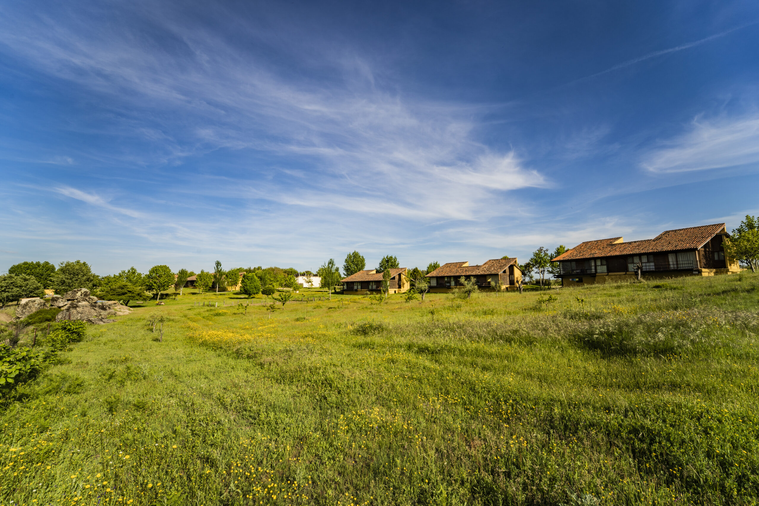 06 Hospe primavera 2019