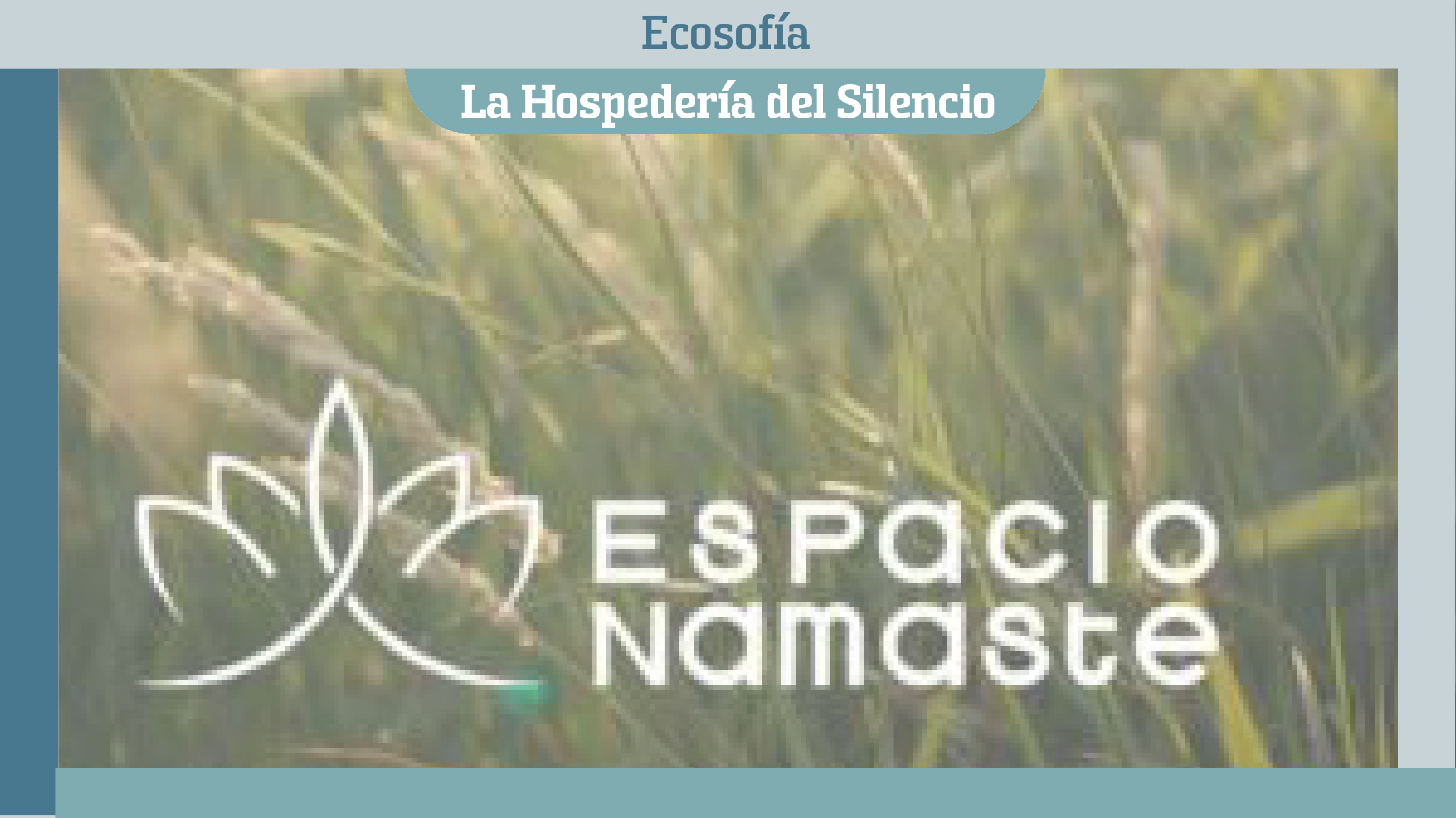 novedad hpd ESPACIO NAMASTE